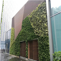 海南植物墙