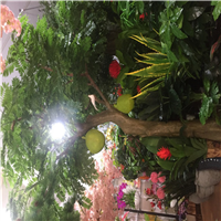 海口植物墙