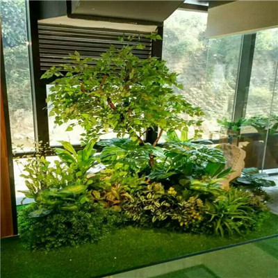海口植物墙