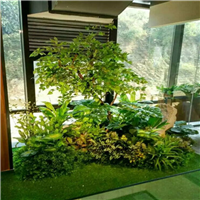 海口植物墙
