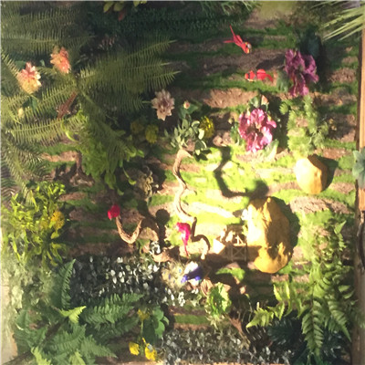 海口展厅植物墙
