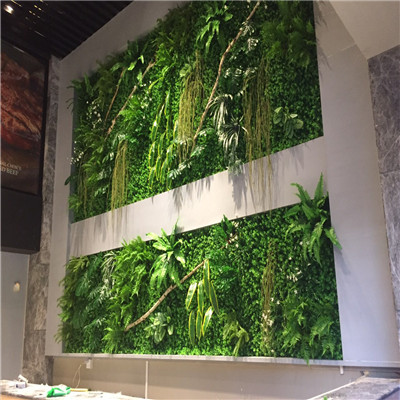 海南植物墙