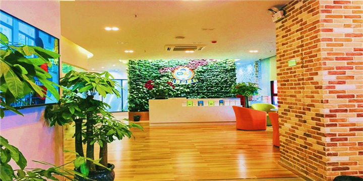 小亮点眼科植物墙项目