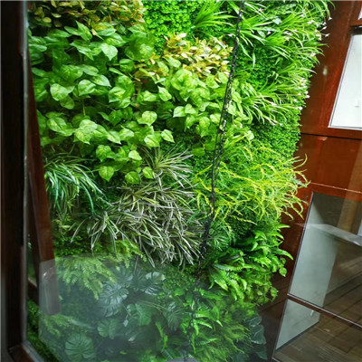 海口绿植墙