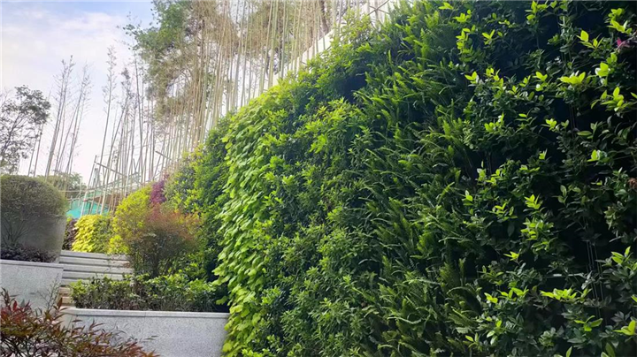 海南植物墙