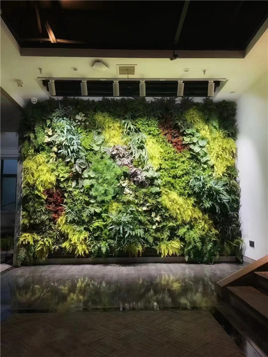 海南室内植物墙