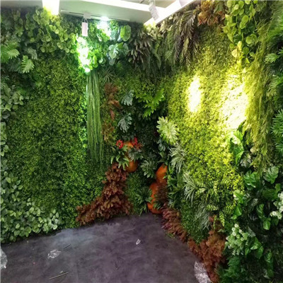 海口植物墙