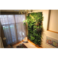 万科云城设计公社室内植物墙项目