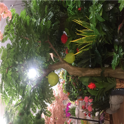 海口植物墙
