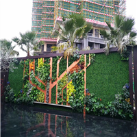 海口绿植墙
