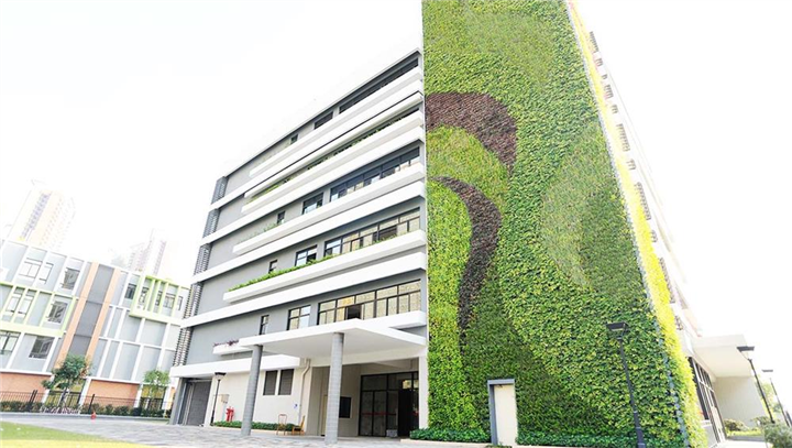 佛禅医院植物墙项目