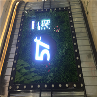 海口室内植物墙
