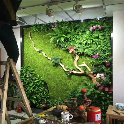 海南植物墙
