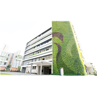 佛禅医院植物墙项目
