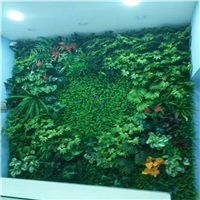 海口绿植墙