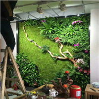 海南植物墙