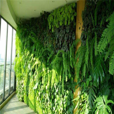 海口植物墙