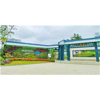 广东展园植物墙项目