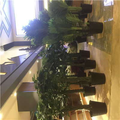 海口植物墙