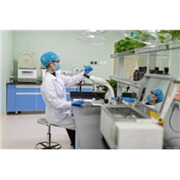 绍兴绍兴学校甲醛治理机构