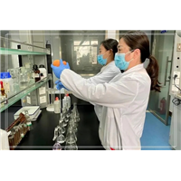 温州龙湾学校除甲醛机构