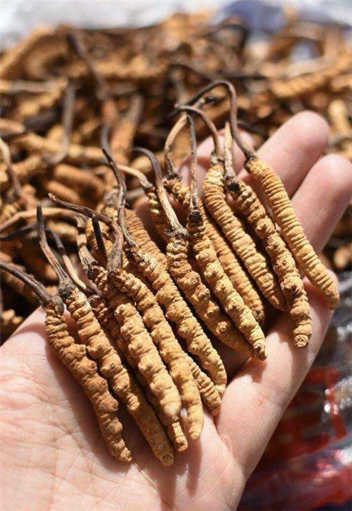 江北区烟酒回收商家 江北区优质茅台酒回收
