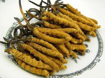 北碚专业回收烟酒 北碚优质茅台酒回收