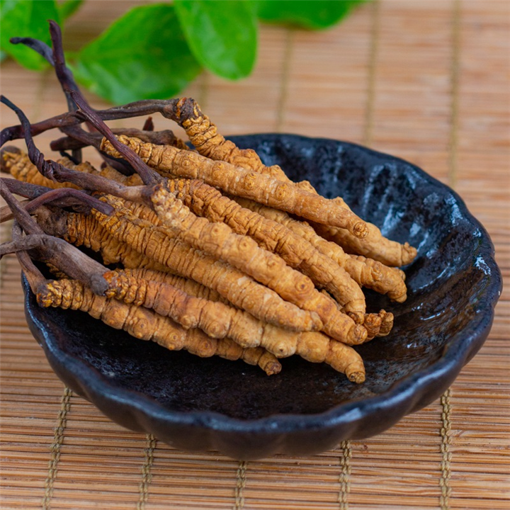 北碚虫草回收 北碚回收冬虫夏草