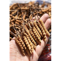 綦江烟酒回收** 綦江片仔癀回收哪家好