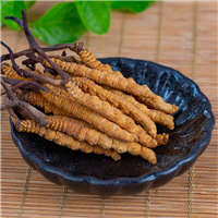 潼南回收礼品虫草 潼南回收冬虫夏草