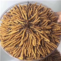 北碚片仔癀回收价格多少 北碚优质茅台酒回收