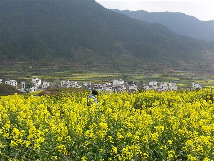 婺源旅游包车 