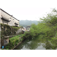 婺源旅游包车 