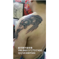韶关纹身哪家专业/韶关纹身店**的