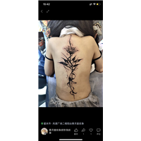 韶关哪里有做满背纹身效果技术好的