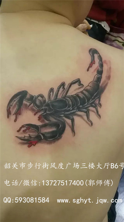 韶关纹身//黒月堂纹身/风度店 