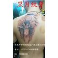 韶关纹身哪里好|韶关哪里有纹身的