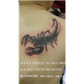 黑月纹身//韶关洗纹身 