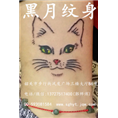 韶关哪里有洗纹身/黑月纹身/风度店/