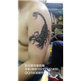 韶关专业纹身/韶关纹身店
