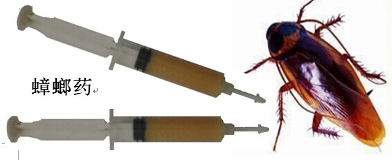 烟台灭蟑螂 