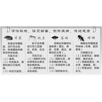烟台专业灭虫