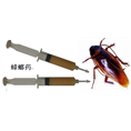 烟台灭蟑螂 