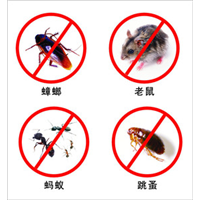 烟台专业灭蟑螂