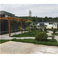 临沂林蛙养殖基地