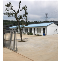 临沂林蛙养殖技术