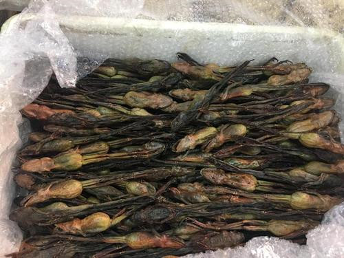 林蛙干一斤多少