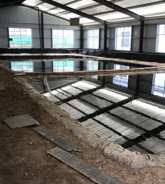 临沂林蛙养殖场
