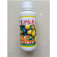 发砂红果素