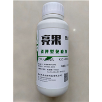 果亮
